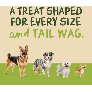 Pet 'n Shape All-Natural Chicken Hide Twists Dog Treats, 16-oz bag