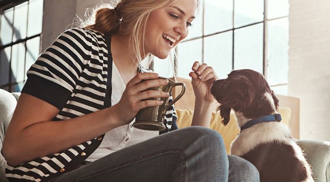 Simparica Chewable Tablet for Dogs, 22.1-44 lbs, (Mint Box)