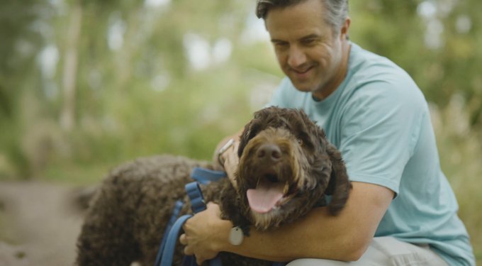 Simparica Chewable Tablet for Dogs, 22.1-44 lbs, (Mint Box)