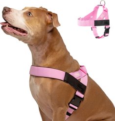 Dog Friendly Co. Adjustable Neck & Chest Chafe Resistant Dog Harness, Pink, Medium