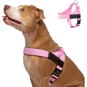 Dog Friendly Co. Adjustable Neck & Chest Chafe Resistant Dog Harness, Pink, Large