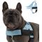 Show in main carousel: Dog Friendly Co. Adjustable Neck & Chest Chafe Resistant Dog Harness, Sky Blue, Large slide 1 of 9