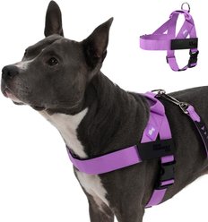Dog Friendly Co. Adjustable Neck & Chest Chafe Resistant Dog Harness, Purple, Medium