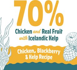Icelandic+ Chicken & Blackberry Bites Soft & Chewy Dog Treats, 2.8-oz bag slide 2 of 7