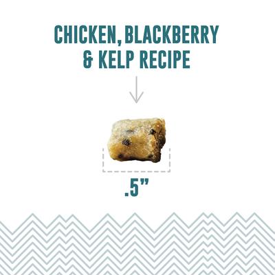 Show full view: Icelandic+ Chicken & Blackberry Bites Soft & Chewy Cat Treats, 1.8-oz bag slide 3 of 8