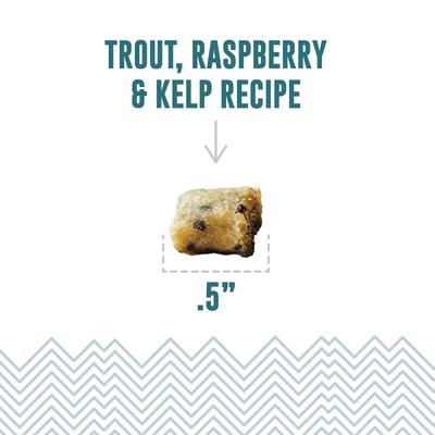 Show full view: Icelandic+ Trout & Raspberry Bites Soft & Chewy Cat Treats, 1.8-oz bag slide 3 of 8