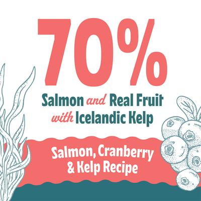 Show full view: Icelandic+ Salmon & Cranberry Bites Soft & Chewy Cat Treats, 1.8-oz bag slide 6 of 8