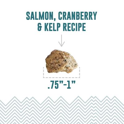 Show full view: Icelandic+ Salmon & Cranberry Bites Soft & Chewy Dog Treats, 2.8-oz bag slide 3 of 8
