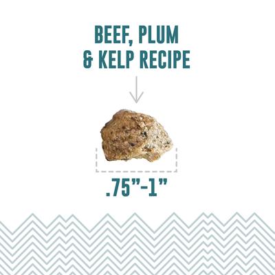 Show full view: Icelandic+ Beef & Plumb Bites Soft & Chewy Dog Treats, 2.8-oz bag slide 3 of 8