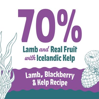 Show full view: Icelandic+ Lamb & Blackberry Bites Soft & Chewy Dog Treats, 2.8-oz bag slide 6 of 8