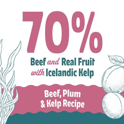 Show full view: Icelandic+ Beef & Plumb Bites Soft & Chewy Dog Treats, 2.8-oz bag slide 6 of 8