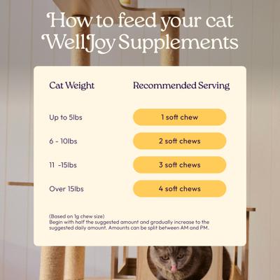 Show full view: WellJoy Chicken Flavored Soft Chew Immune + GutBoost Supplement for Cats, 3.2-oz jar, 90 count slide 8 of 11