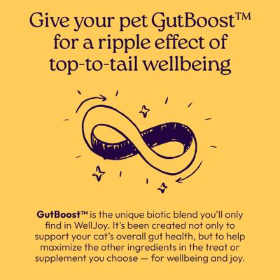 Show full view: WellJoy Chicken Flavored Soft Chew Immune + GutBoost Supplement for Cats, 3.2-oz jar, 90 count slide 9 of 11