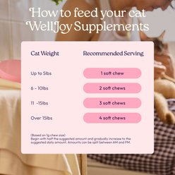 WellJoy Chicken Flavored Soft Chew Urinary + GutBoost Supplement for Cats, 3.2-oz jar, 90 count slide 2 of 9