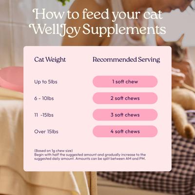Show full view: WellJoy Chicken Flavored Soft Chew Urinary + GutBoost Supplement for Cats, 3.2-oz jar, 90 count slide 8 of 11