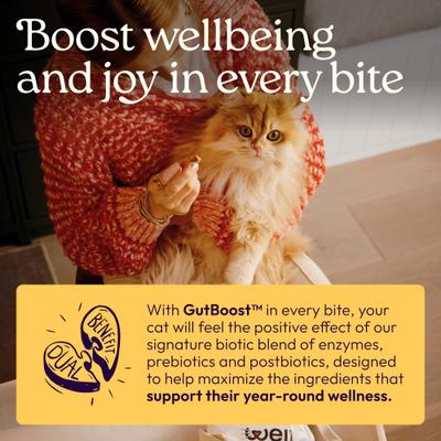 Show full view: WellJoy Chicken Flavored Soft Chew Immune + GutBoost Supplement for Cats, 3.2-oz jar, 90 count slide 5 of 11