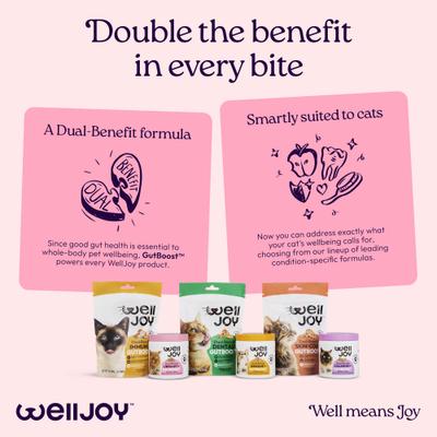 Show full view: WellJoy Chicken Flavored Soft Chew Urinary + GutBoost Supplement for Cats, 3.2-oz jar, 90 count slide 10 of 11