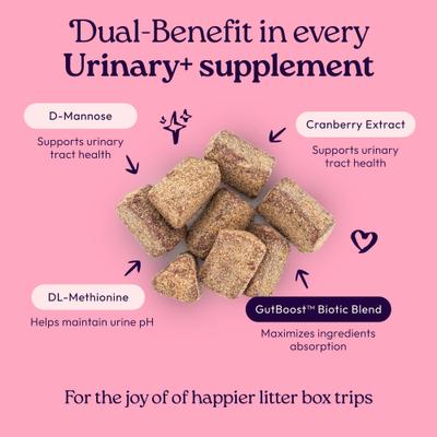 Show full view: WellJoy Chicken Flavored Soft Chew Urinary + GutBoost Supplement for Cats, 3.2-oz jar, 90 count slide 3 of 11