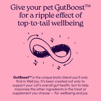 Show full view: WellJoy Chicken Flavored Soft Chew Urinary + GutBoost Supplement for Cats, 3.2-oz jar, 90 count slide 9 of 11
