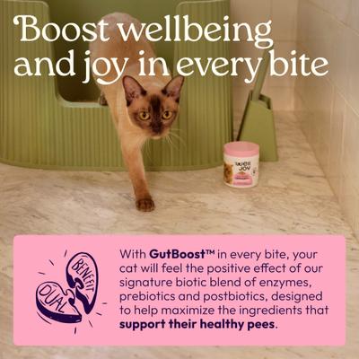 Show full view: WellJoy Chicken Flavored Soft Chew Urinary + GutBoost Supplement for Cats, 3.2-oz jar, 90 count slide 5 of 11