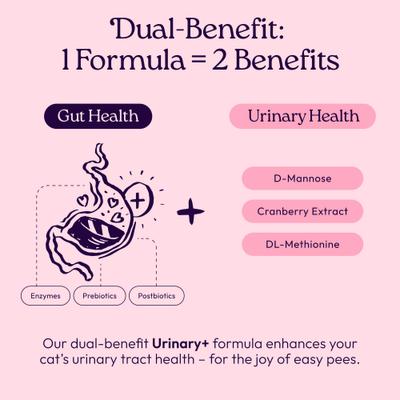 Show full view: WellJoy Chicken Flavored Soft Chew Urinary + GutBoost Supplement for Cats, 3.2-oz jar, 90 count slide 4 of 11