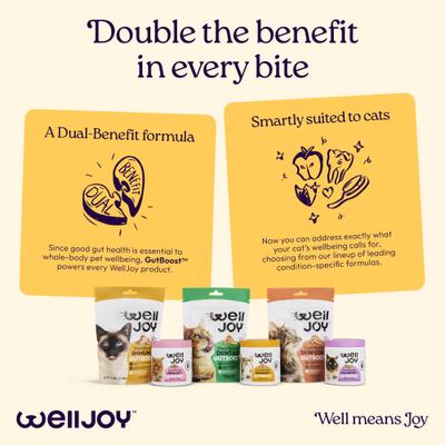 Show full view: WellJoy Immune Chicken Grain-Free Soft & Chewy Cat Treats, 3.2-oz pouch, 120 count slide 10 of 11