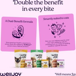 WellJoy Chicken Flavored Soft Chew Calming + GutBoost Supplement for Cats, 3.2-oz jar, 90 count slide 2 of 9