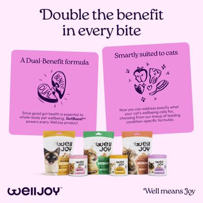 Show full view: WellJoy Chicken Flavored Soft Chew Calming + GutBoost Supplement for Cats, 3.2-oz jar, 90 count slide 10 of 11