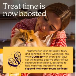 WellJoy Immune + GutBoost Chicken Flavored Soft Chew with Lysine Cat Treats, 3.2-oz pouch, 120 count slide 2 of 9