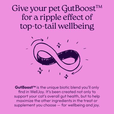 Show full view: WellJoy Chicken Flavored Soft Chew Calming + GutBoost Supplement for Cats, 3.2-oz jar, 90 count slide 9 of 11