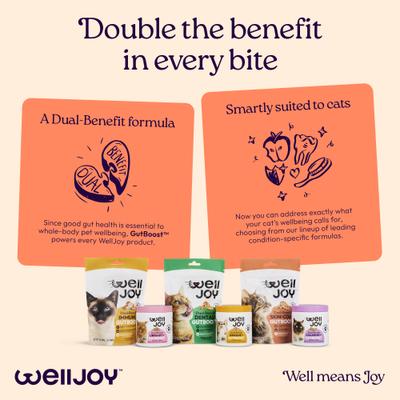 Show full view: WellJoy Skin & Coat + GutBoost Chicken Grain-Free Soft & Chewy Cat Treats, 3.2-oz pouch, 120 count slide 10 of 11