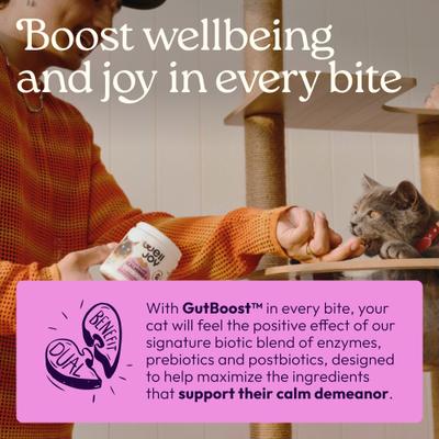 Show full view: WellJoy Chicken Flavored Soft Chew Calming + GutBoost Supplement for Cats, 3.2-oz jar, 90 count slide 5 of 11