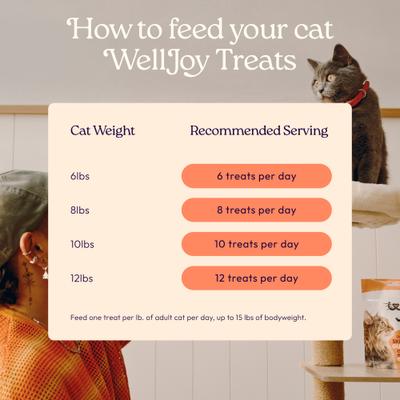 Show full view: WellJoy Skin & Coat + GutBoost Chicken Grain-Free Soft & Chewy Cat Treats, 3.2-oz pouch, 120 count slide 8 of 11