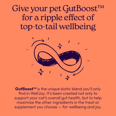 Show full view: WellJoy Skin & Coat + GutBoost Chicken Grain-Free Soft & Chewy Cat Treats, 3.2-oz pouch, 120 count slide 9 of 11