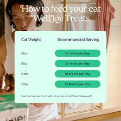 WellJoy Chicken Flavored Cat Dental + GutBoost Treats, 3.2-oz pouch, 120 count slide 2 of 9
