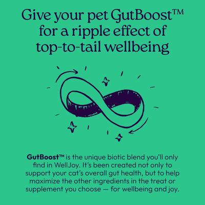 Show full view: WellJoy Chicken Flavored Cat Dental + GutBoost Treats, 3.2-oz pouch, 120 count slide 9 of 11