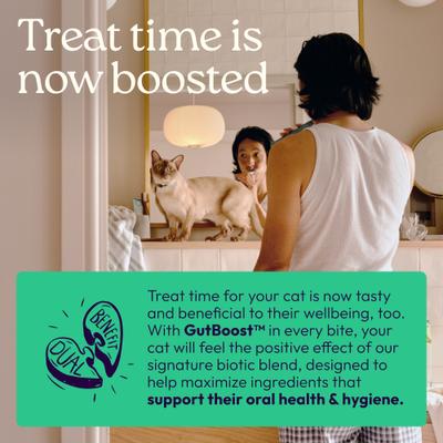 Show full view: WellJoy Chicken Flavored Cat Dental + GutBoost Treats, 3.2-oz pouch, 120 count slide 5 of 11