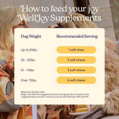 Show full view: WellJoy Chicken Flavored Soft Chew Immune + GutBoost Supplement for Dogs, 11.1-oz jar, 90 count slide 8 of 11