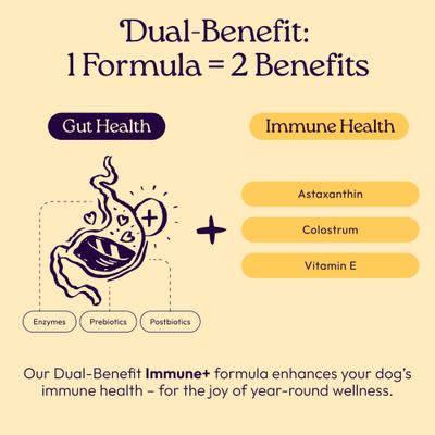 Show full view: WellJoy Chicken Flavored Soft Chew Immune + GutBoost Supplement for Dogs, 11.1-oz jar, 90 count slide 4 of 11