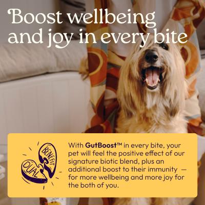 Show full view: WellJoy Chicken Flavored Soft Chew Immune + GutBoost Supplement for Dogs, 11.1-oz jar, 90 count slide 5 of 11