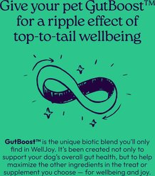 WellJoy GutBoost Grain-Free Chicken Dental Dog Treats, 8.5-oz pouch, 24 count slide 2 of 9