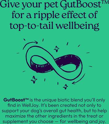Show full view: WellJoy Dental + GutBoost Chicken Flavored Soft Chew Dog Treats, 8.5-oz pouch, 24 count slide 9 of 10