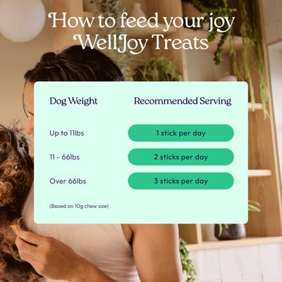 Show full view: WellJoy Dental + GutBoost Chicken Flavored Soft Chew Dog Treats, 8.5-oz pouch, 24 count slide 8 of 10