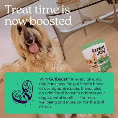 Show full view: WellJoy GutBoost Grain-Free Chicken Dental Dog Treats, 8.5-oz pouch, 24 count slide 5 of 11