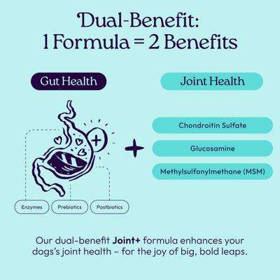 Show full view: WellJoy Chicken Flavored Soft Chew Joint + GutBoost Supplement for Dogs, 11.1-oz jar, 90 count slide 4 of 11