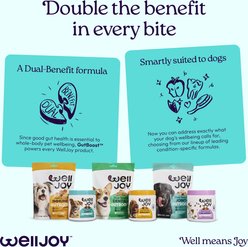WellJoy Chicken Flavored Soft Chew Joint + GutBoost Supplement for Dogs, 11.1-oz jar, 90 count slide 2 of 9