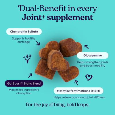 Show full view: WellJoy Chicken Flavored Soft Chew Joint + GutBoost Supplement for Dogs, 11.1-oz jar, 90 count slide 3 of 11