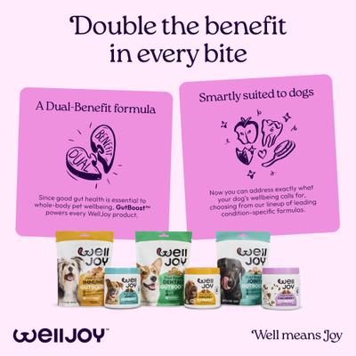 Show full view: WellJoy Chicken Flavored Soft Chew Calming + GutBoost Supplement for Dogs, 11.1-oz jar, 90 count slide 10 of 11