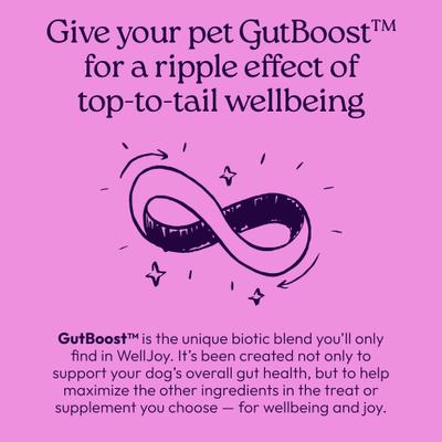 Show full view: WellJoy Chicken Flavored Soft Chew Calming + GutBoost Supplement for Dogs, 11.1-oz jar, 90 count slide 9 of 11