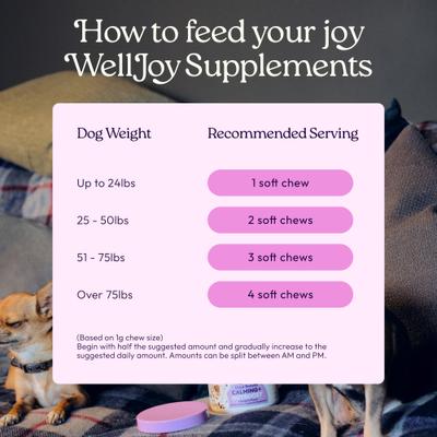 Show full view: WellJoy Chicken Flavored Soft Chew Calming + GutBoost Supplement for Dogs, 11.1-oz jar, 90 count slide 8 of 11